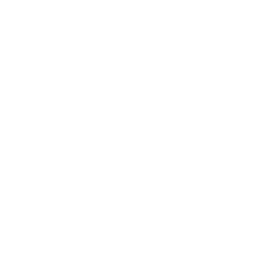 feature-item-4